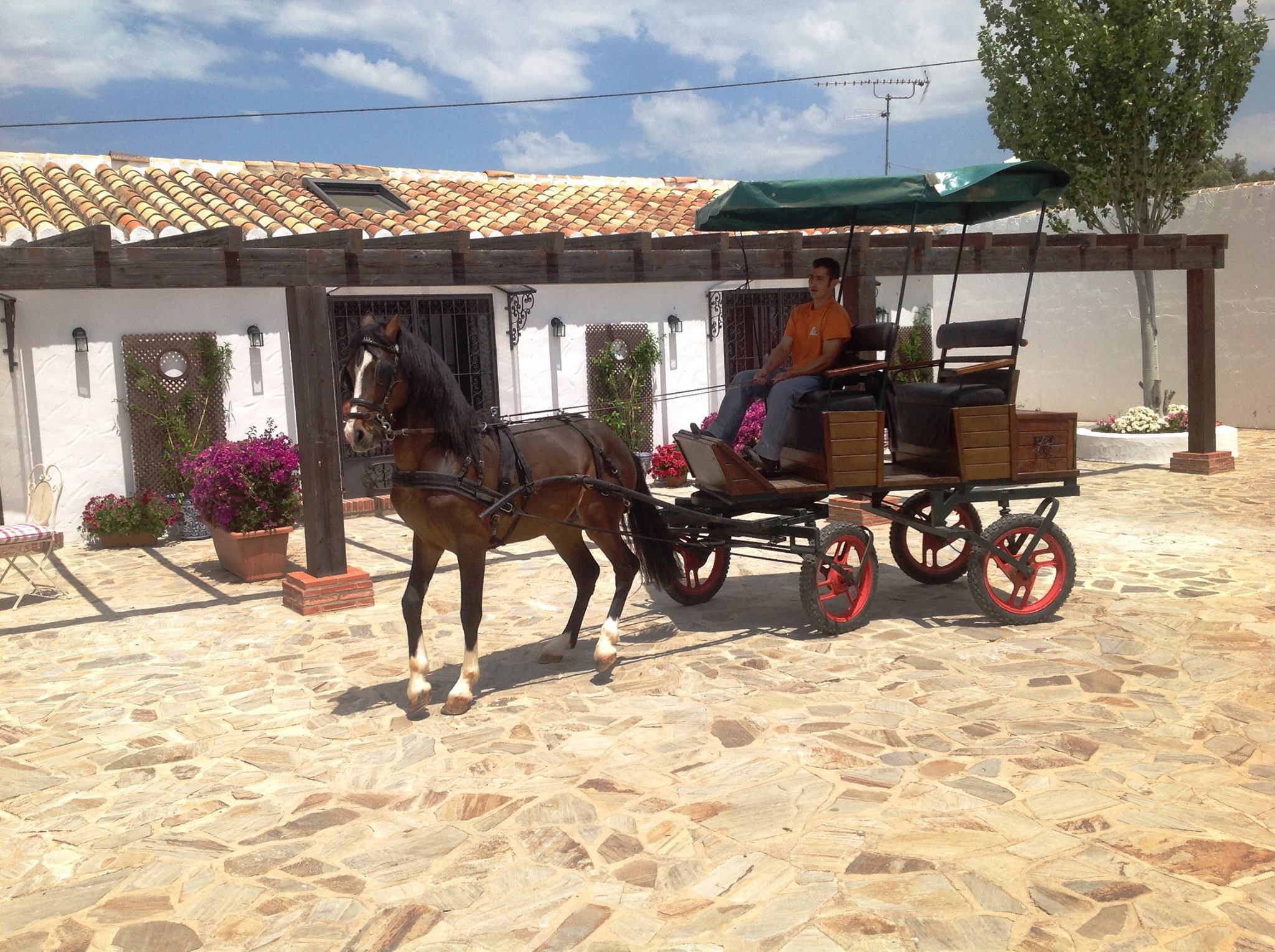 Marbella Wedding 